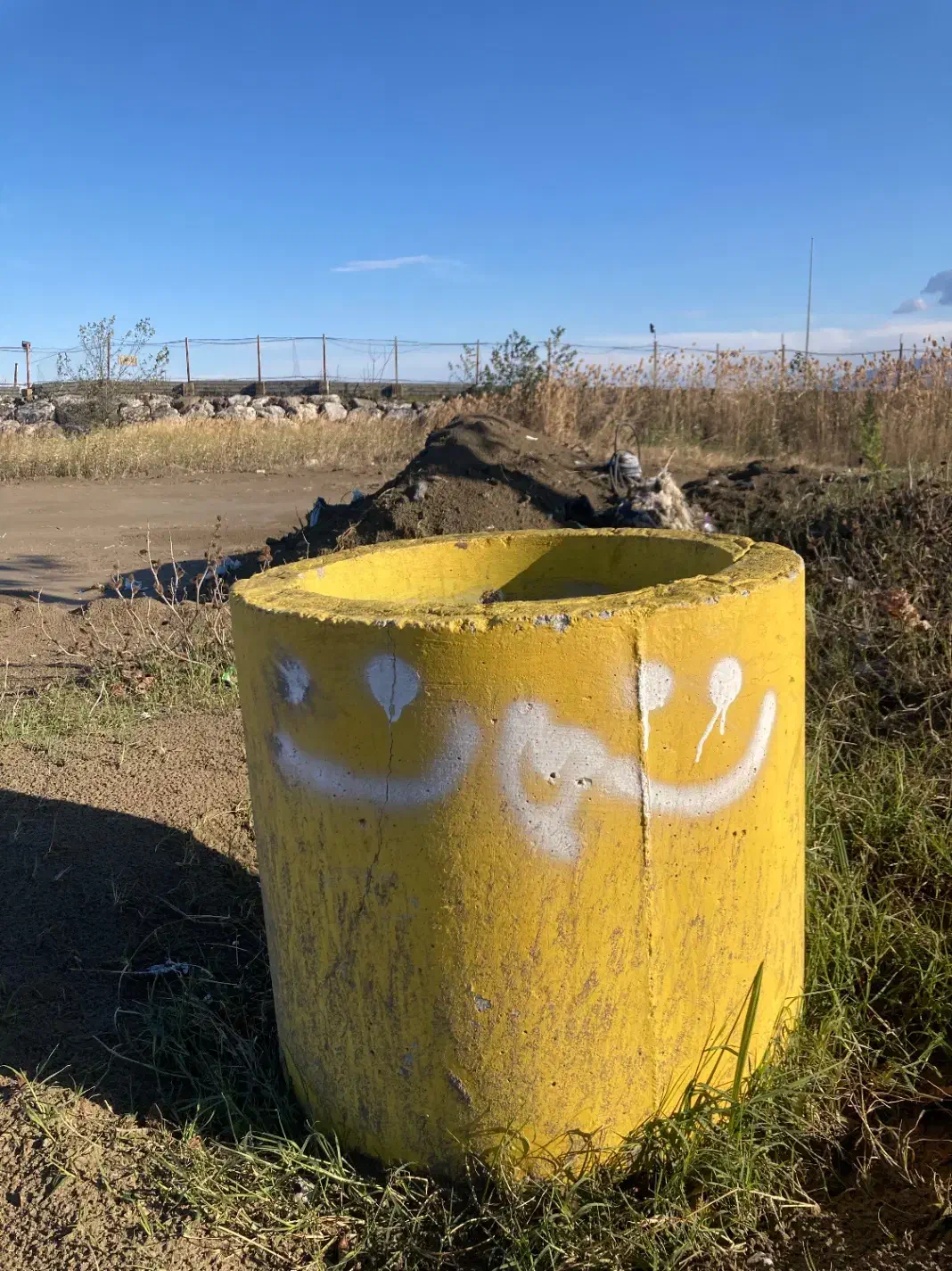 صندلی|صندلی و نیمکت|نوشهر, |دیوار