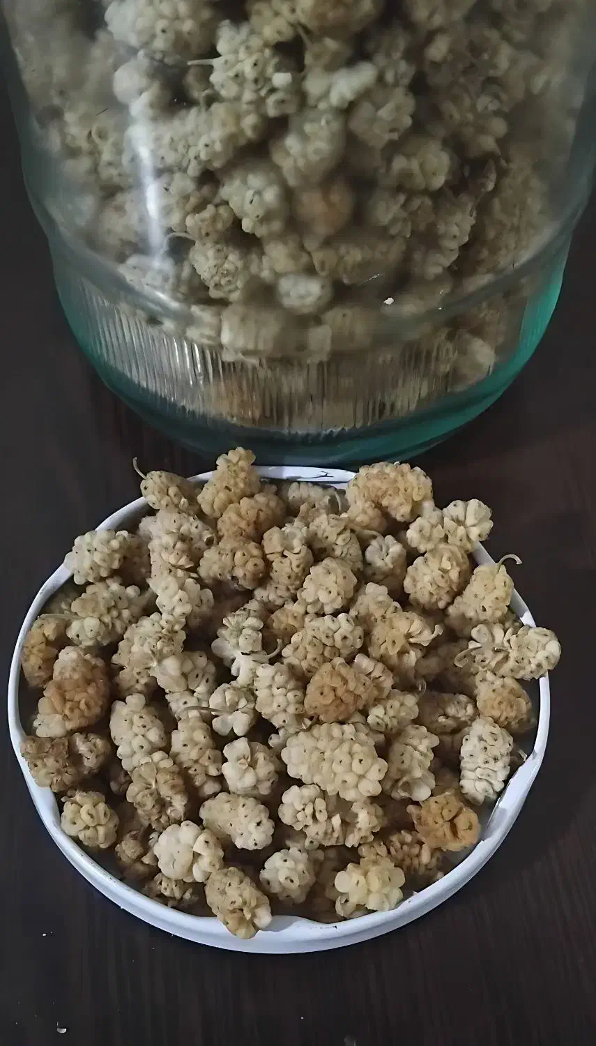 توت خشک شیرین و خوشمزه |خوردنی و آشامیدنی|شاهدشهر, |دیوار