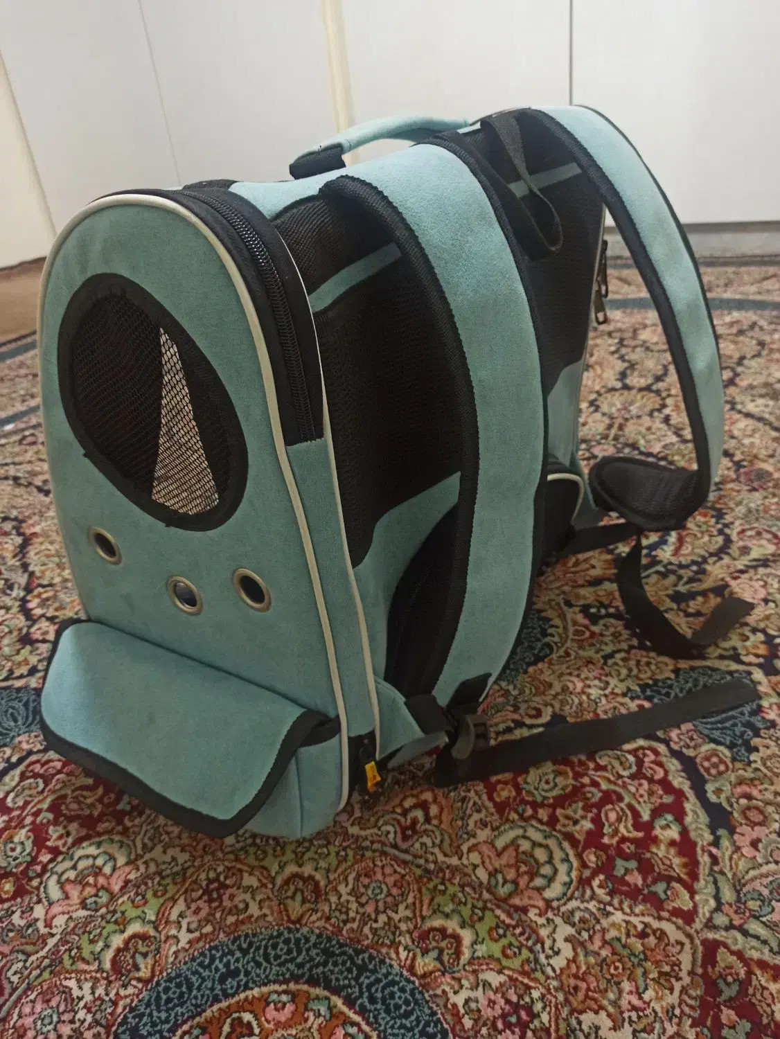 کیف و کوله حمل سگ و گربه عروس هلندی|کیف، کفش، کمربند|بندرعباس, |دیوار