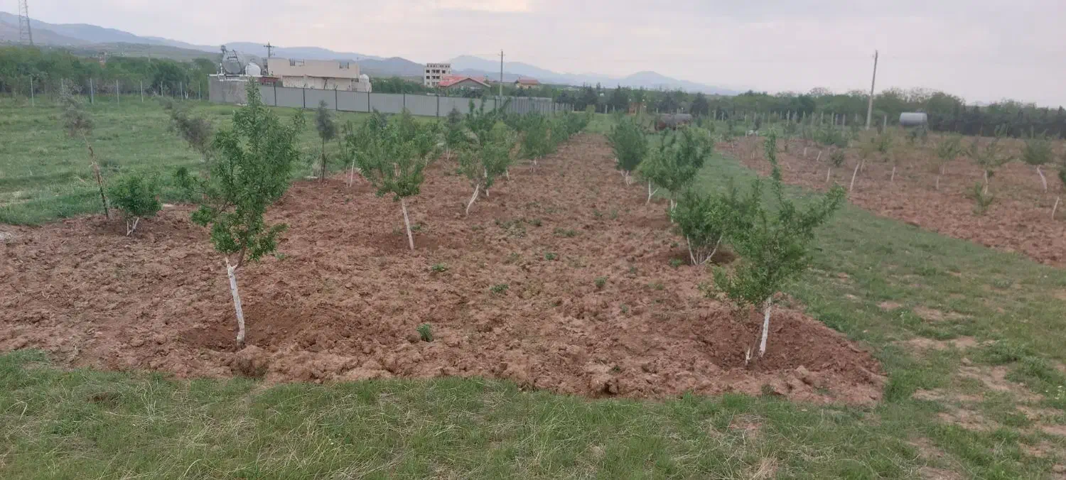 معاوضه با آپارتمان|فروش آپارتمان|قزوین, |دیوار