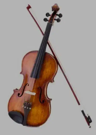 آموزش خصوصی ویولن به صورت حرفه ای|خدمات آموزشی|نیشابور, شهرک قدس|دیوار