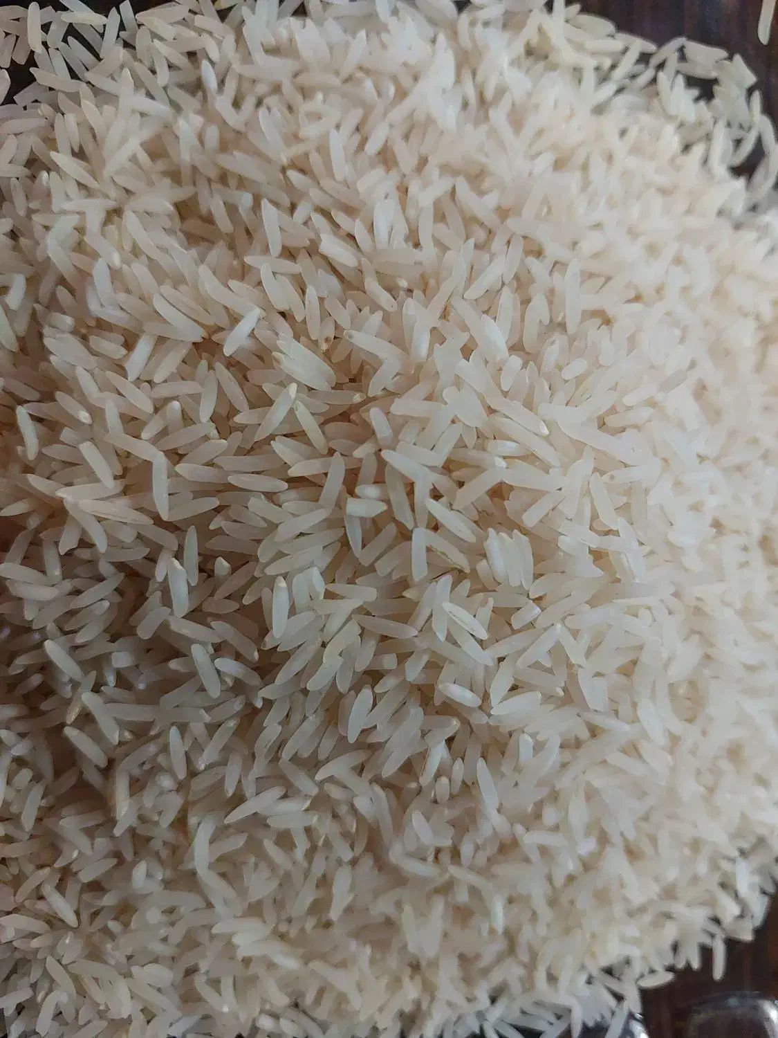 برنج فجر سوزنی درجه یک|خوردنی و آشامیدنی|گرگان, |دیوار