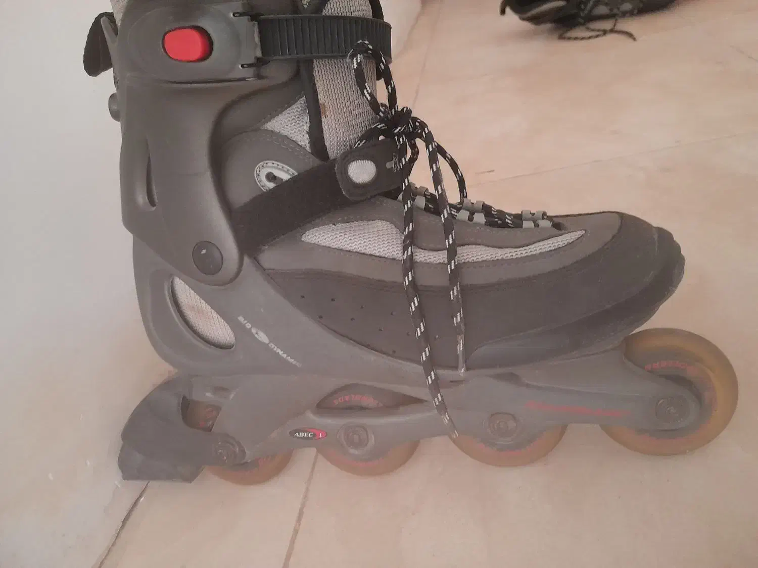 کفش مخصوص اسکیت|دوچرخه، اسکیت، اسکوتر|رشت, پاستوریزه|دیوار