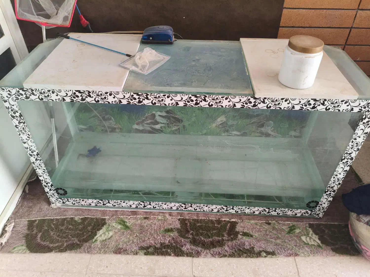 آکواریوم|ماهی|یزد, |دیوار