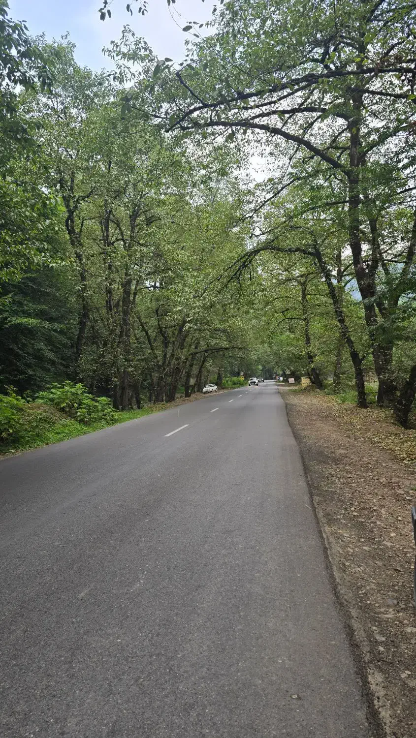 راهنمایی میخوام|خدمات آموزشی|دوگنبدان, |دیوار