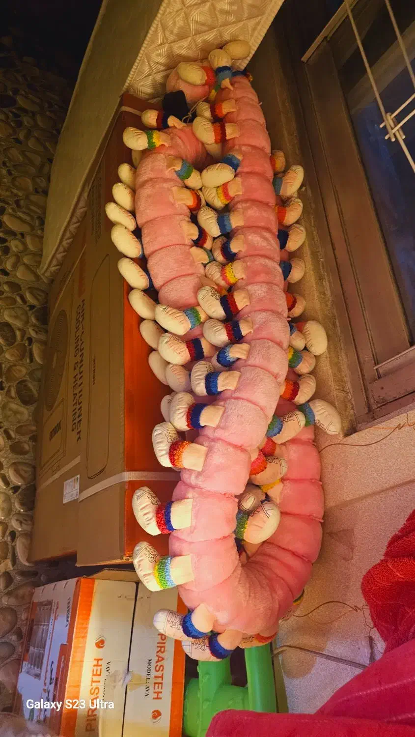 عروسک هزارپا|اسباب‌‌بازی|رشت, کاکتوس|دیوار