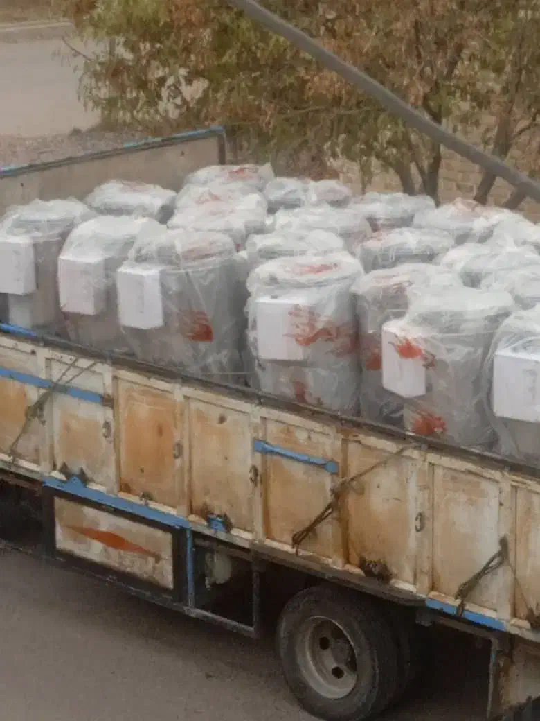 جت هیتر گازی استیل|ماشین‌آلات صنعتی|گرگان, |دیوار