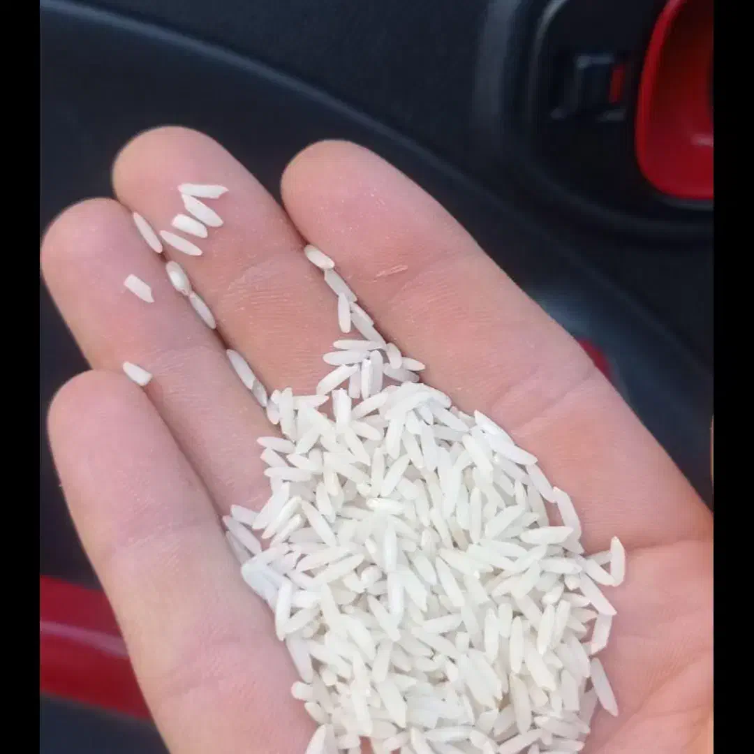 برنج هاشمی محصول زمین  خودمون|خوردنی و آشامیدنی|رشت, منظریه|دیوار