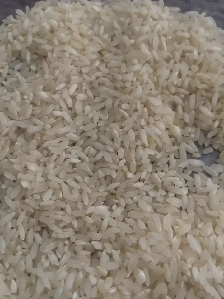 برنج و چلتوک چمپا اردل|خوردنی و آشامیدنی|اردل, |دیوار