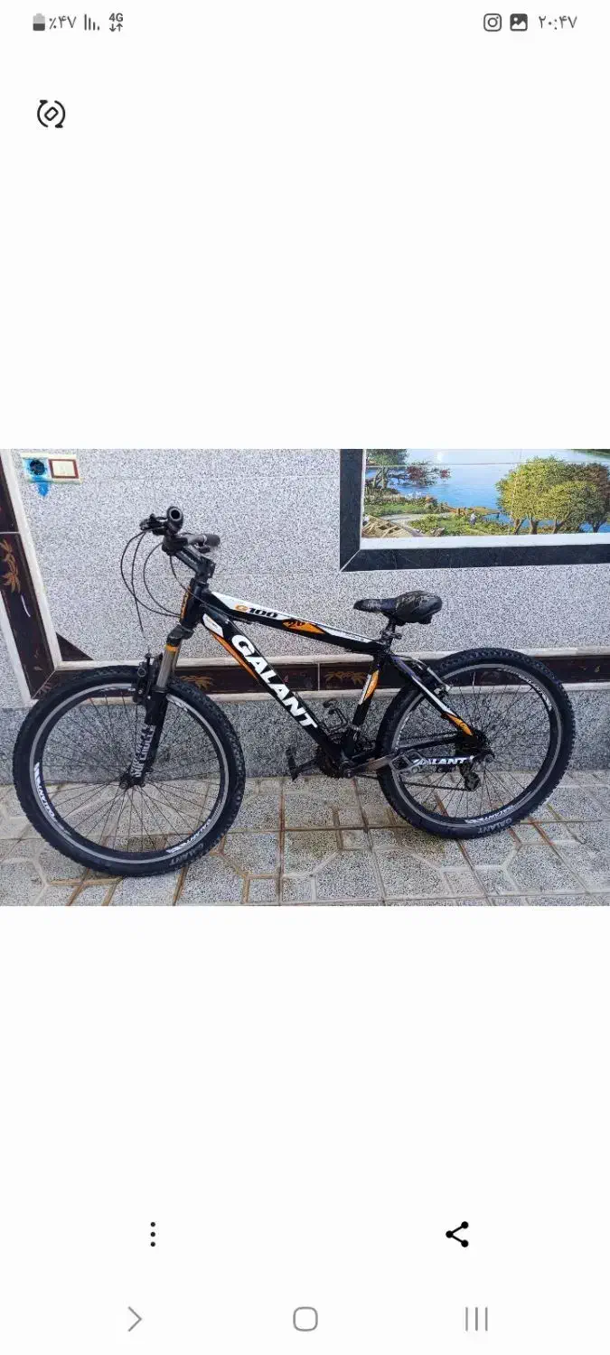 دوچرخه|دوچرخه، اسکیت، اسکوتر|سربیشه, |دیوار