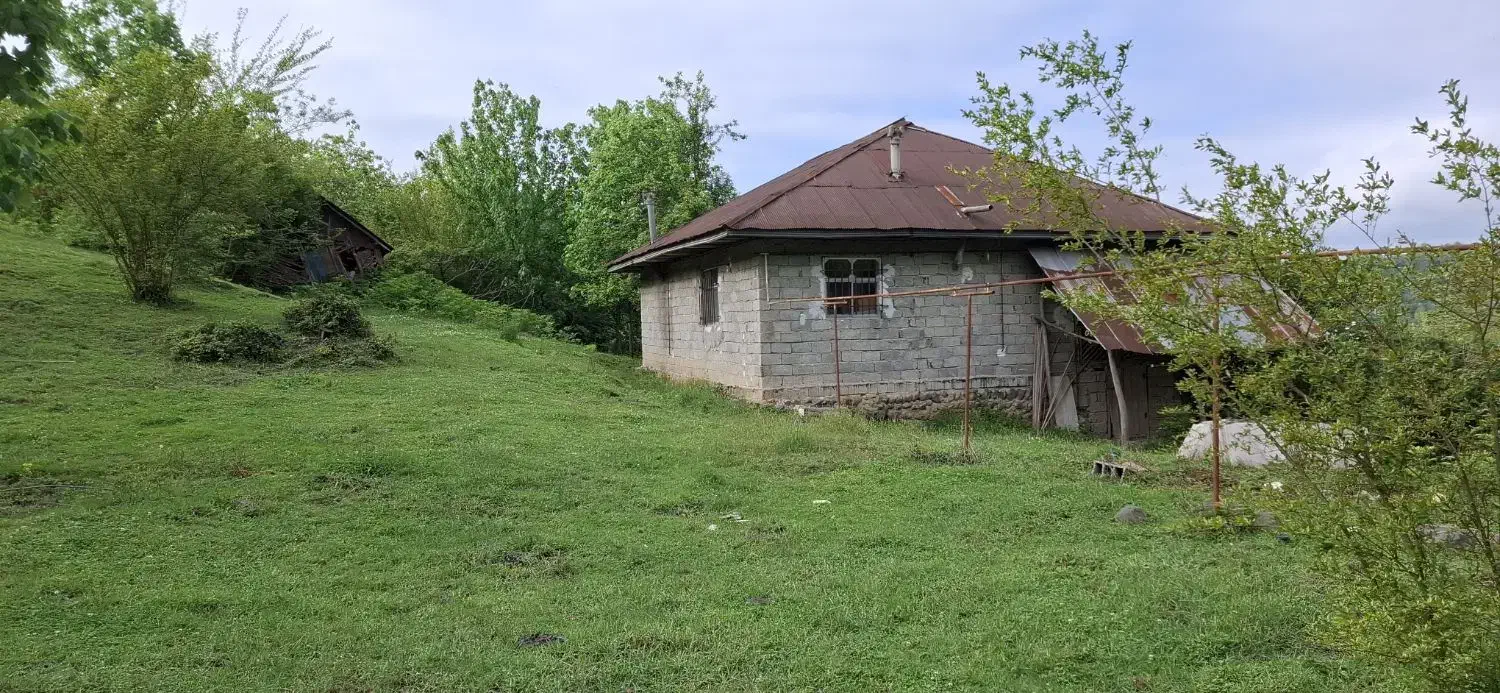 کلنگی 11000متری/ایدهآل تفکیک،ساخت ویلا،بومگردی|فروش زمین و ملک کلنگی|لاهیجان, آهندان|دیوار