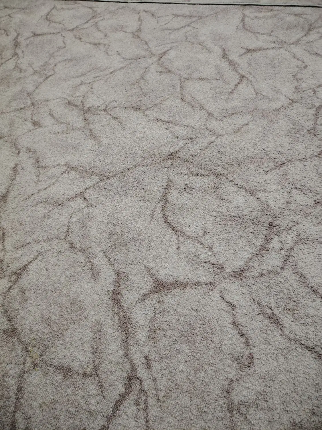 پلاز موکت 12 متری 4عدد|فرش|شوش, |دیوار