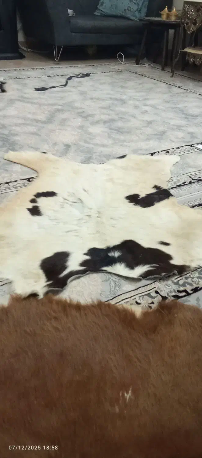 پوست تزیینی|صنایع دستی و سایر لوازم تزئینی|قرچک, میرزائی جنوبی|دیوار