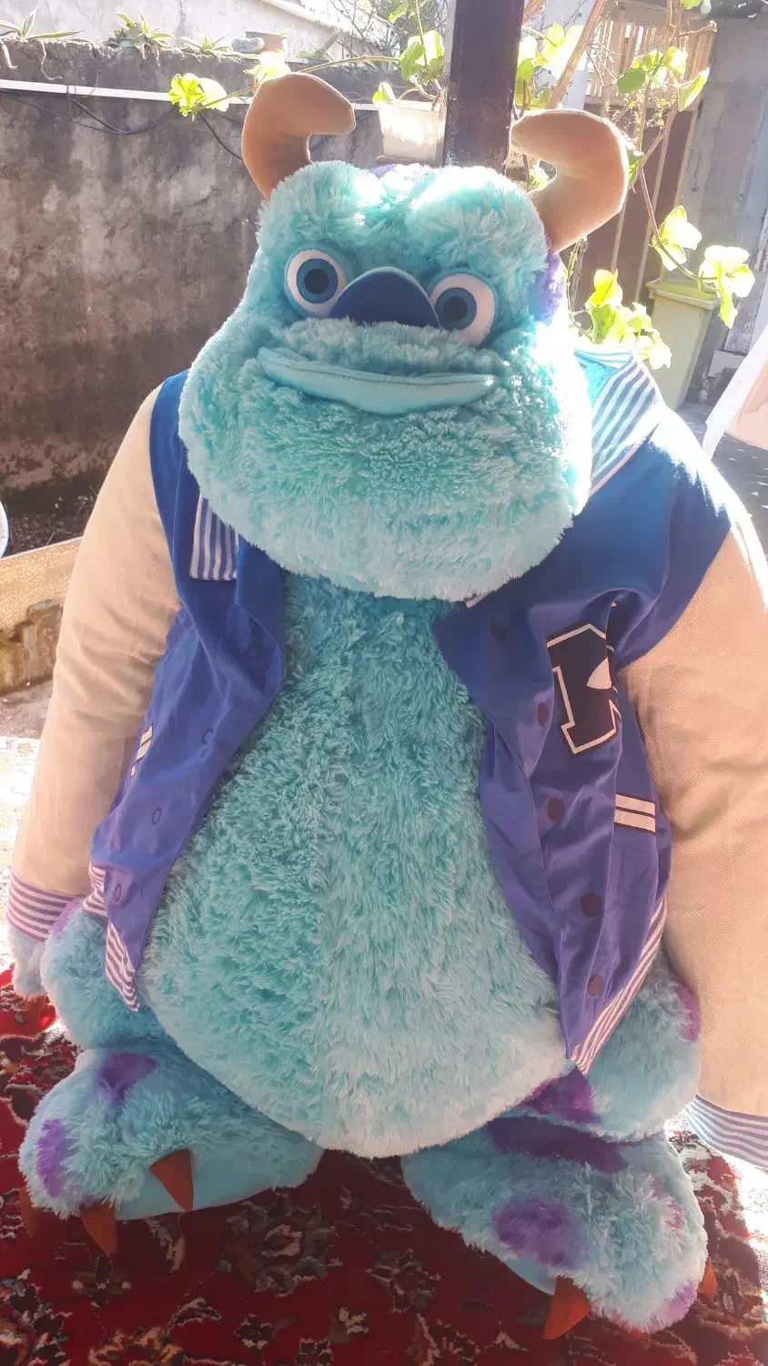 عروسک سالیوان|اسباب‌‌بازی|لشت نشا, |دیوار