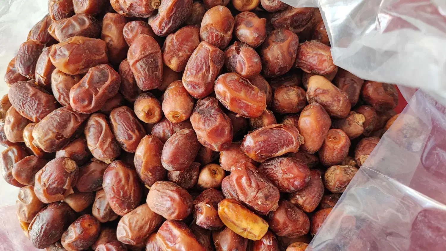 قصب|خوردنی و آشامیدنی|برازجان, |دیوار