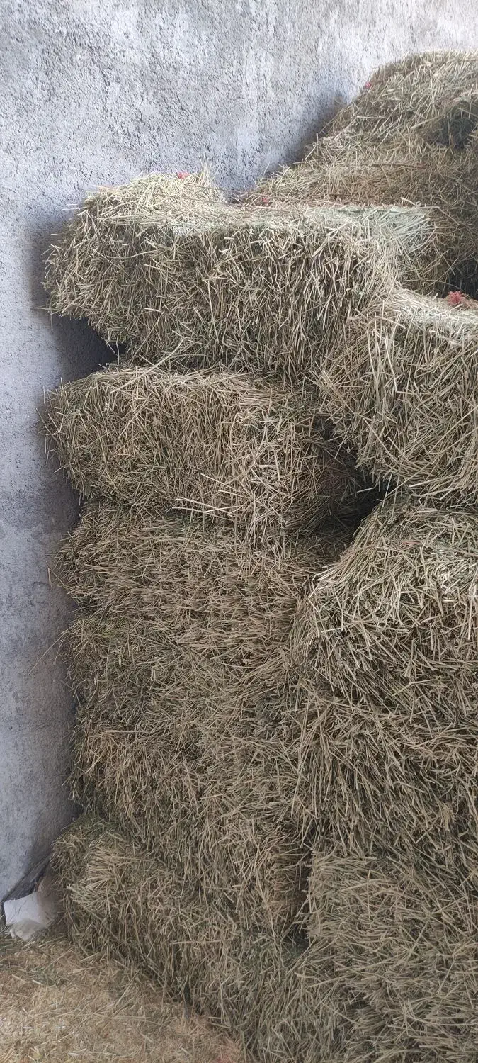 یونجه|حیوانات مزرعه|چگنی, |دیوار