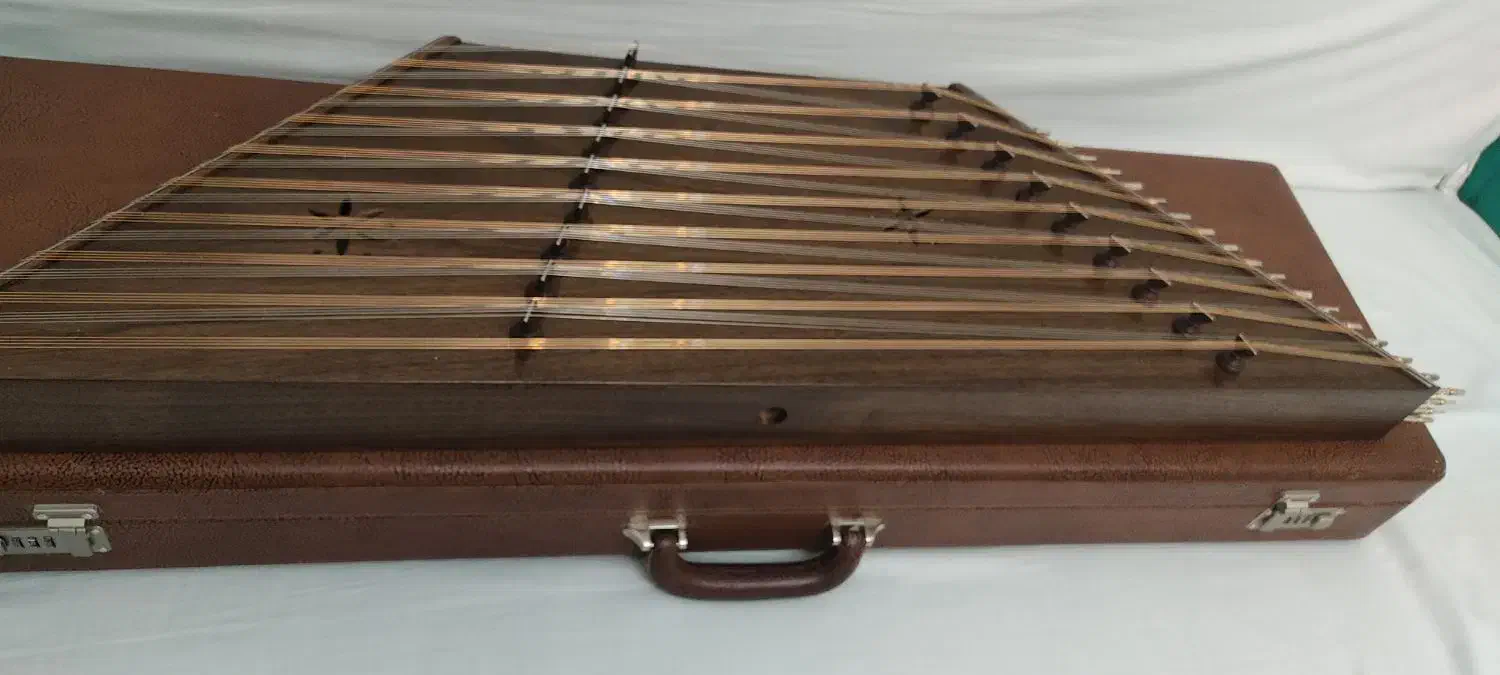 فروش دو ساز آماتور و نیمه حرفه ای|سازهای سنتی|تهران, یاخجی آباد|دیوار