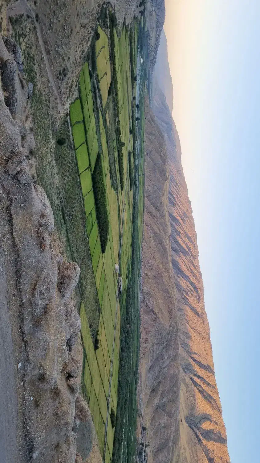 فروش برنج طارم|خوردنی و آشامیدنی|قرچک, مهدیه|دیوار