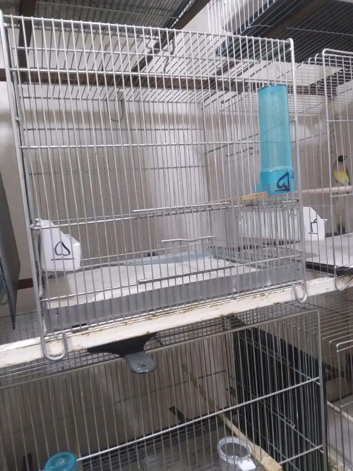 قفس مناسب سهره|لوازم جانبی حیوانات|تهران, والفجر (افسریه)|دیوار