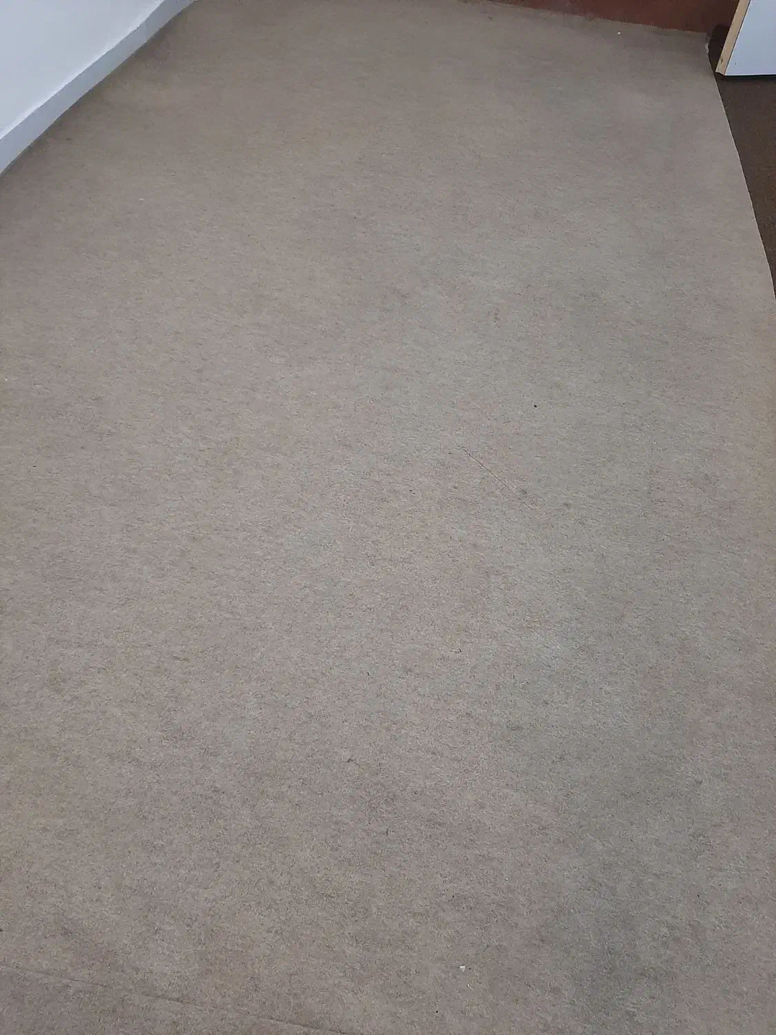 موکت|موکت|نورآباد, |دیوار