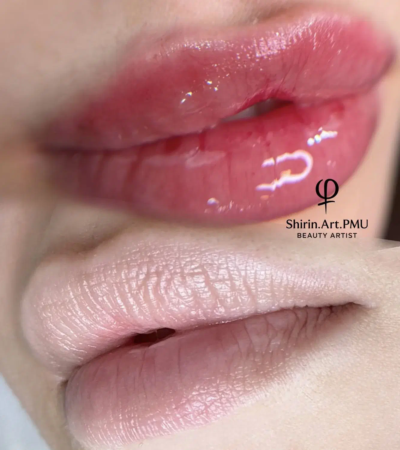 شید ینگ لب تخفیف ویژه|خدمات آرایشگری و زیبایی|ساری, |دیوار