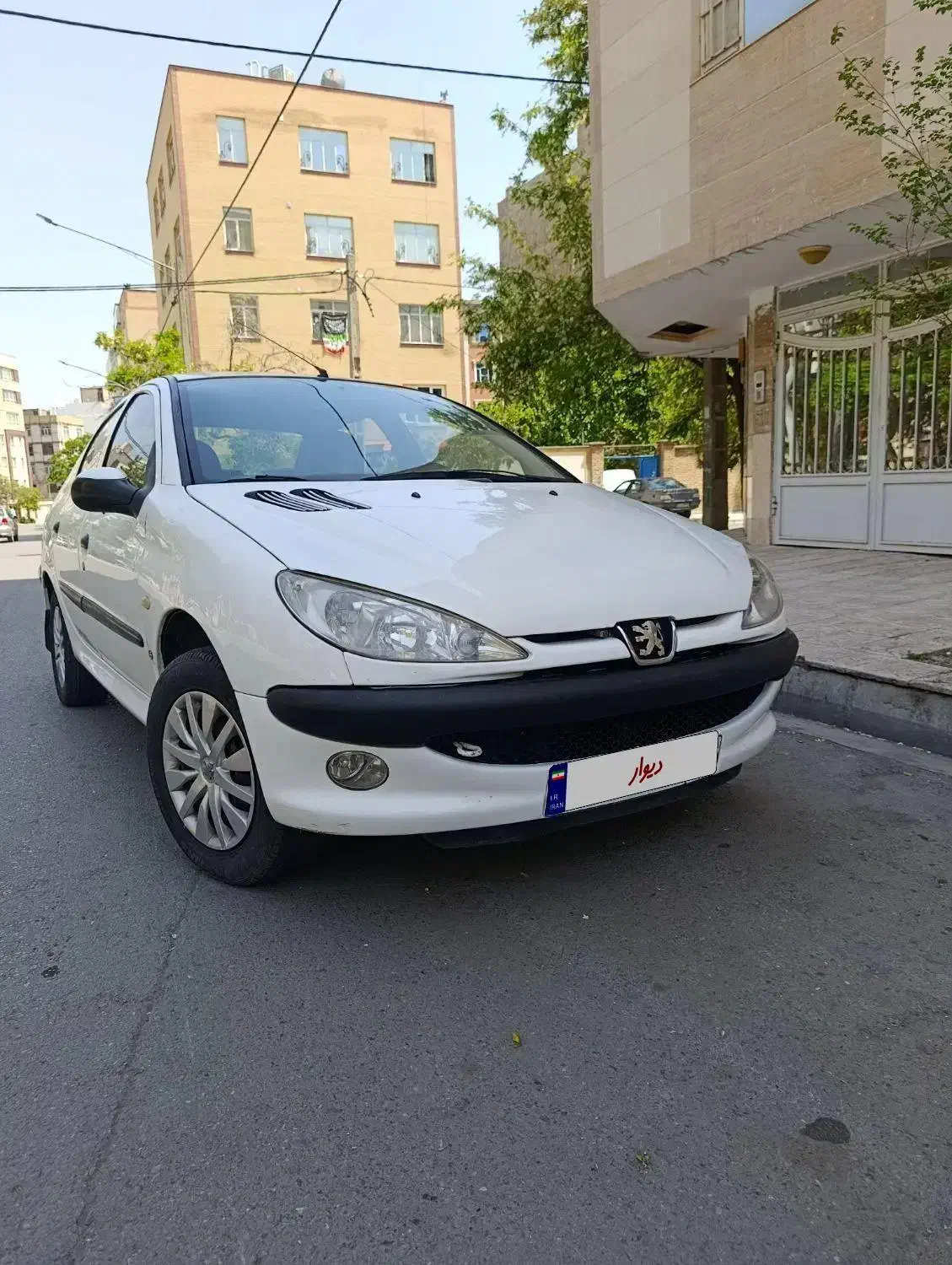 206sd v8|خودرو سواری و وانت|مشهد, نرگس (شهرک غرب)|دیوار