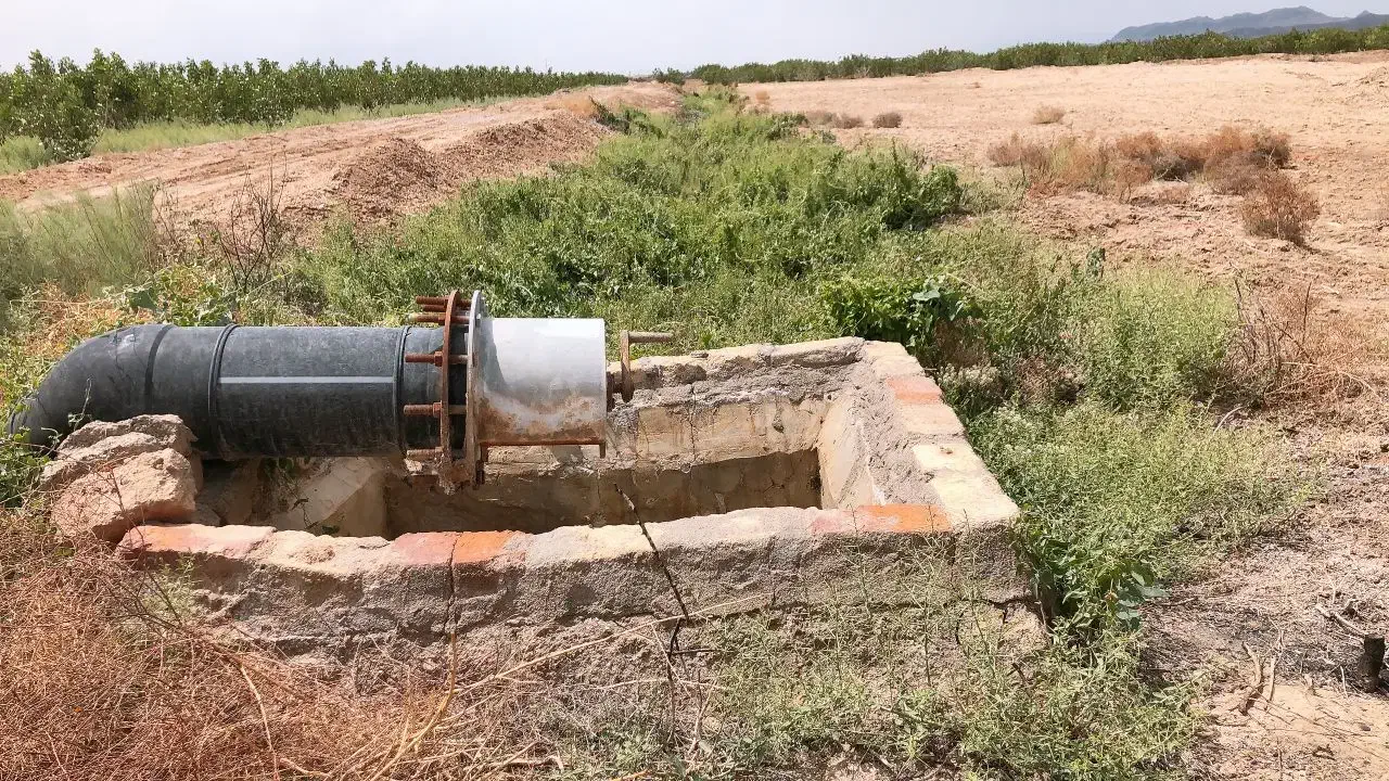 ۸۰۰۰مترباغ پسته|فروش دفتر صنعتی، کشاورزی، تجاری|قم, یزدان‌شهر|دیوار