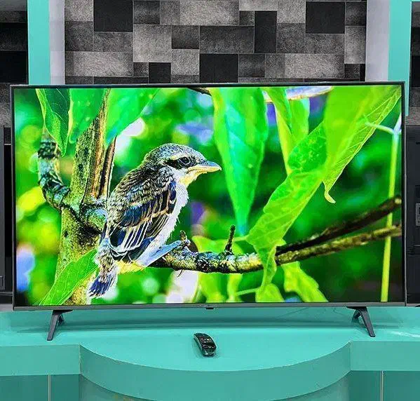 تلویزیون LG|تلویزیون و پروژکتور|بانه, |دیوار