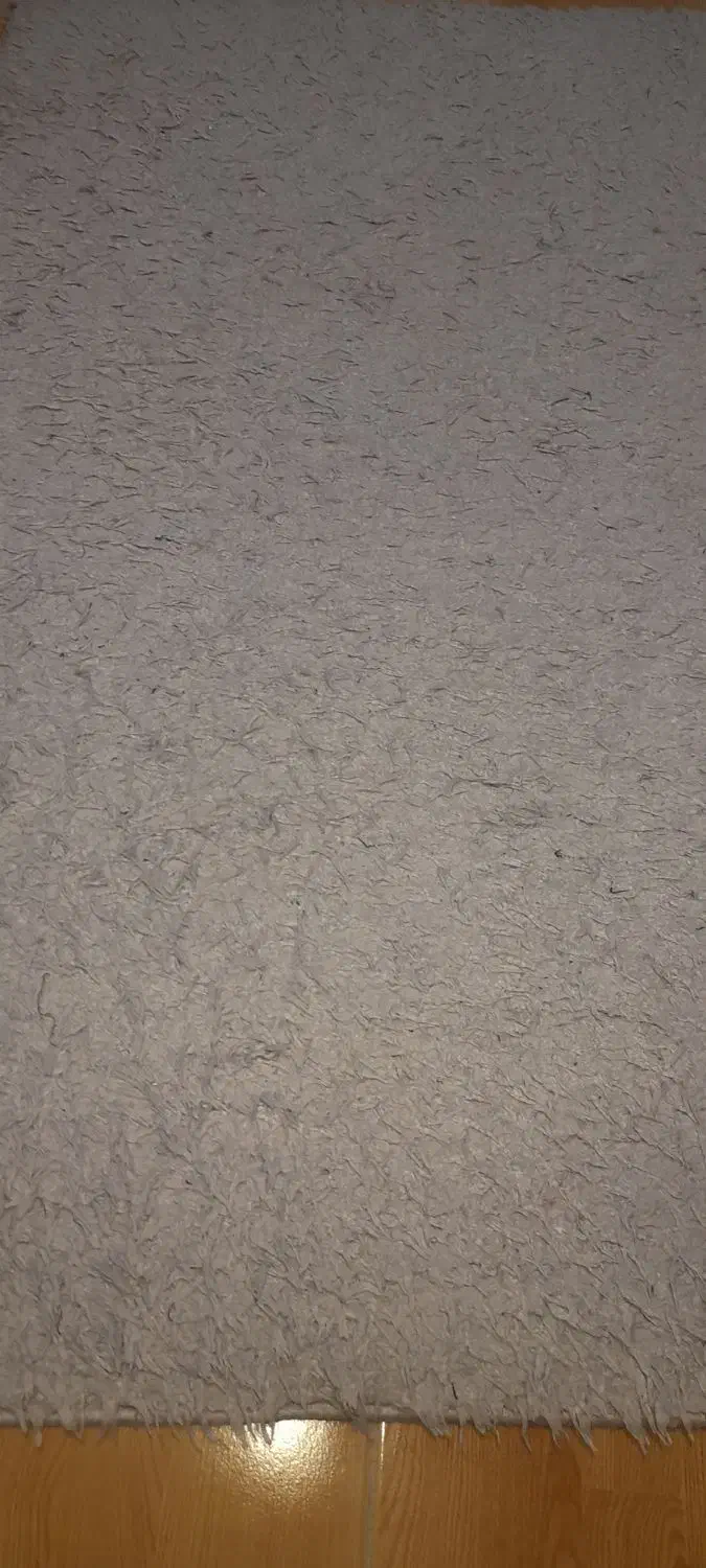 گلیم فرش شگی|فرش|محمدیه-قزوین, |دیوار