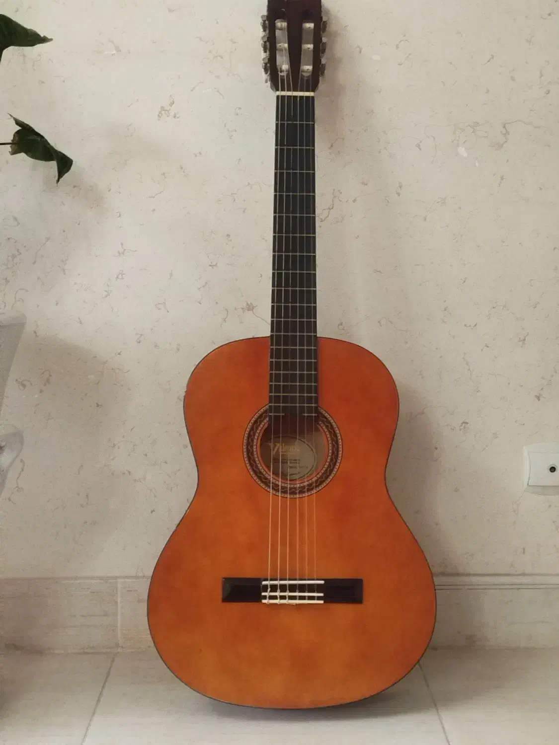 گیتار والنسیا مدل vc104|گیتار، بیس، امپلیفایر|بجنورد, |دیوار