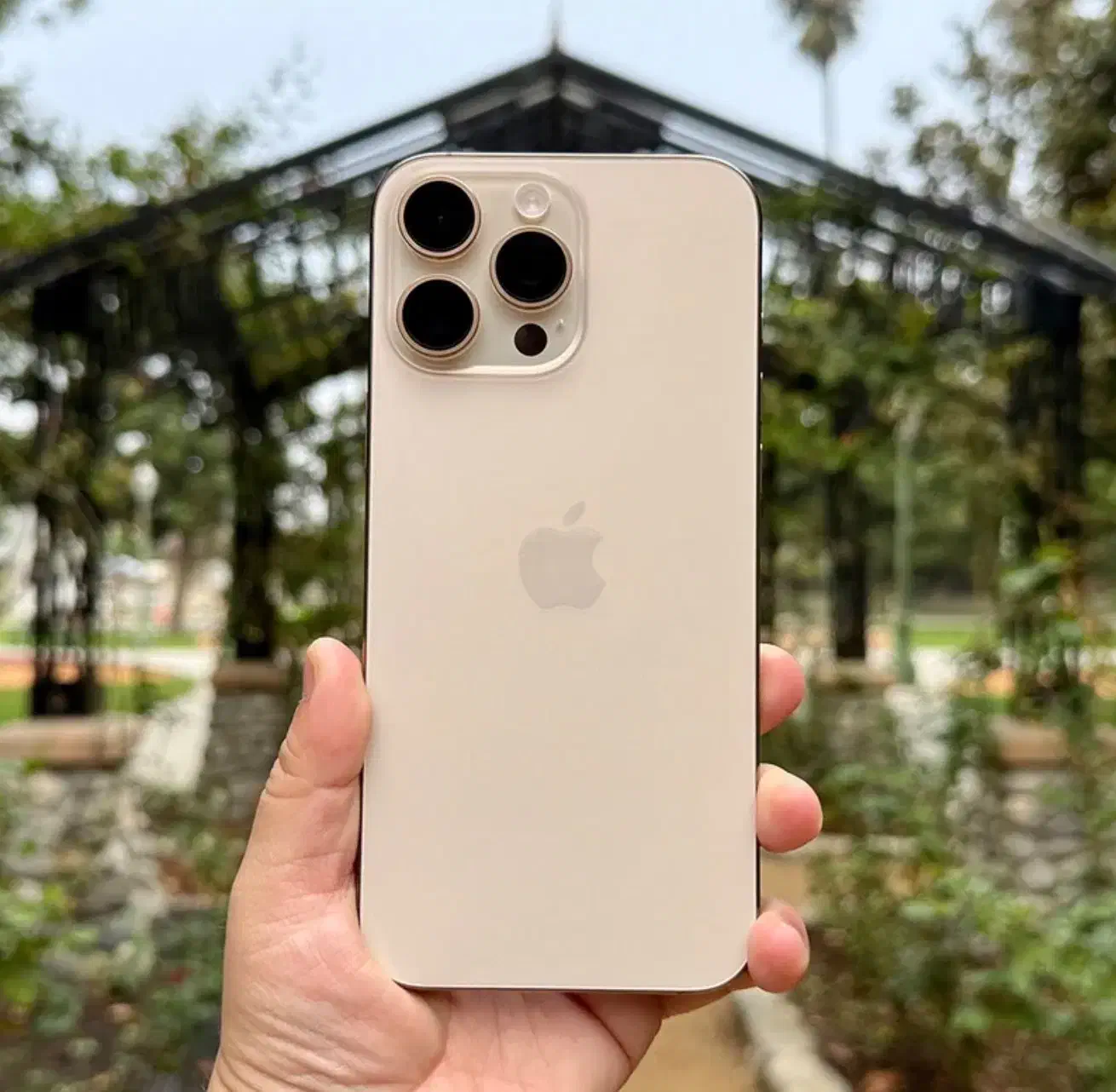 ۲ عدد ایفون ۱۶ پرو مکس صحرایی|موبایل|پیرانشهر, |دیوار