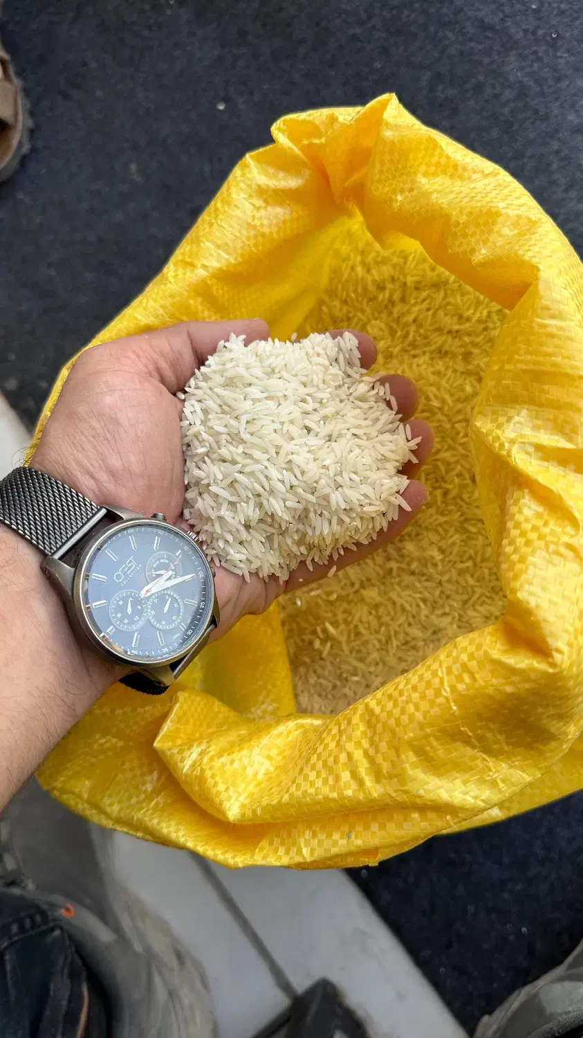 برنج طارم اصل شمال|خوردنی و آشامیدنی|تهران, سید خندان (جلفا)|دیوار