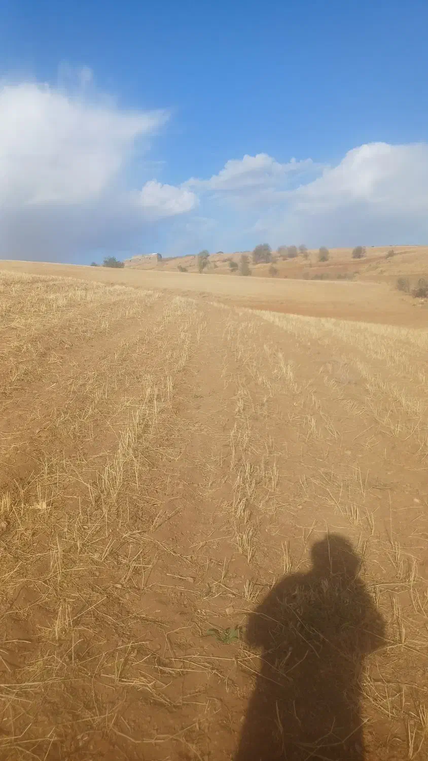 اجارهزمین|اجارهٔ دفتر صنعتی، کشاورزی، تجاری|دیواندره, |دیوار