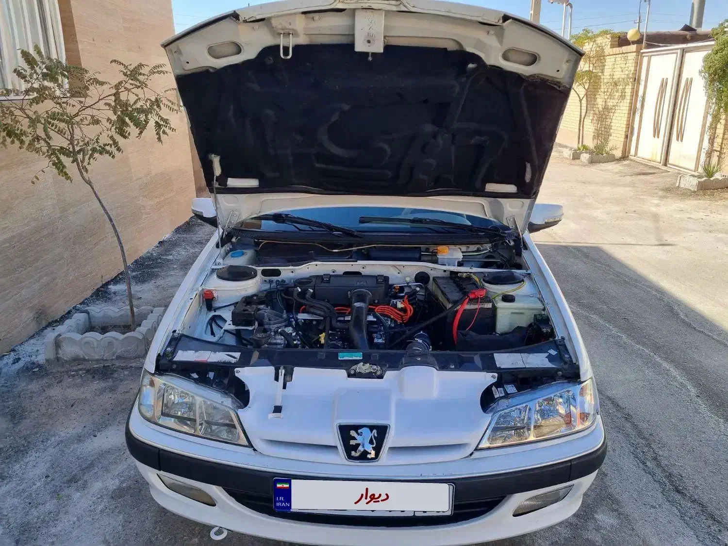 پارس|خودرو سواری و وانت|زرند, |دیوار