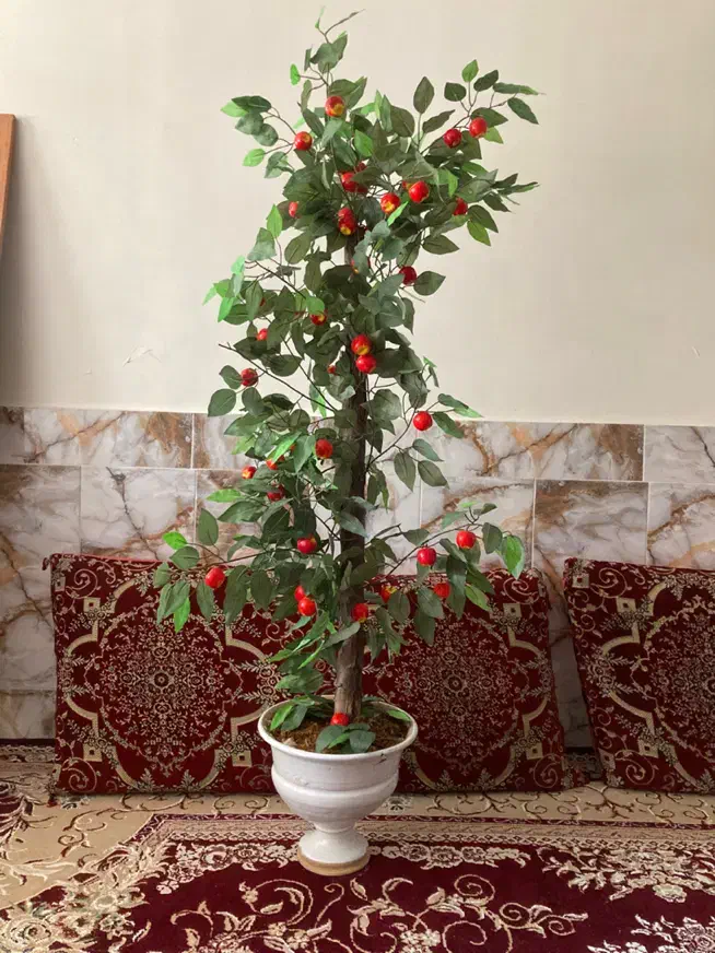 گلدان|گل مصنوعی|شیروان (خراسان), |دیوار