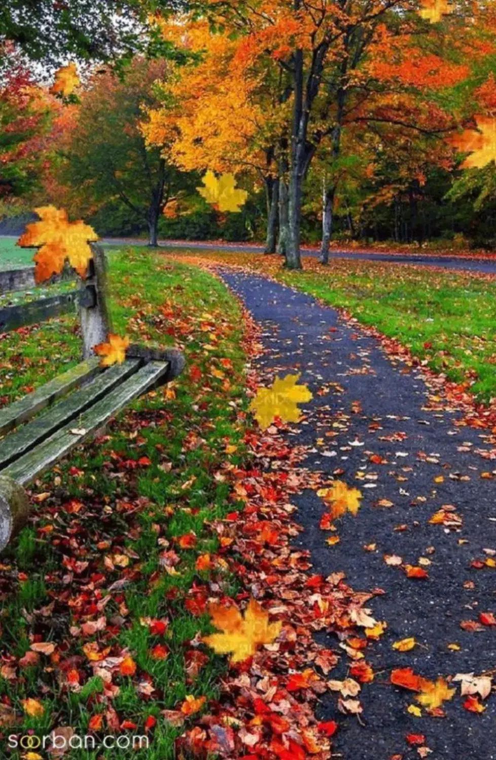 کارگردامداری|استخدام سرایداری و نظافت|سجاس رود, |دیوار