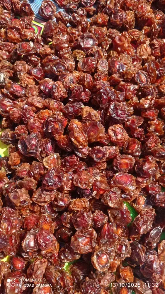 فروش آلو خشک درجه یک|خوردنی و آشامیدنی|شیراز, کوشک میدان|دیوار