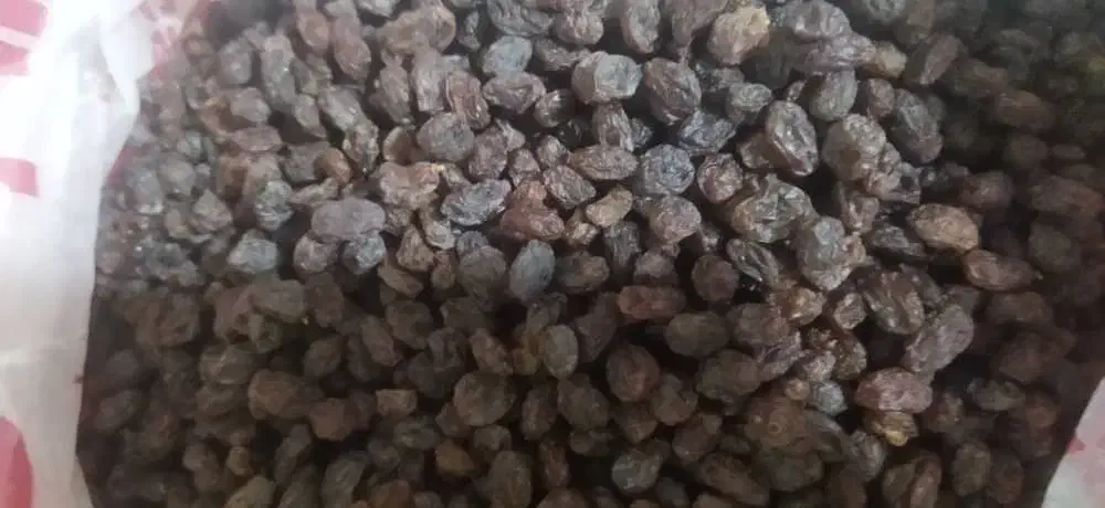 کشمش|خوردنی و آشامیدنی|پاکدشت, پاکدشت (مامازند)|دیوار