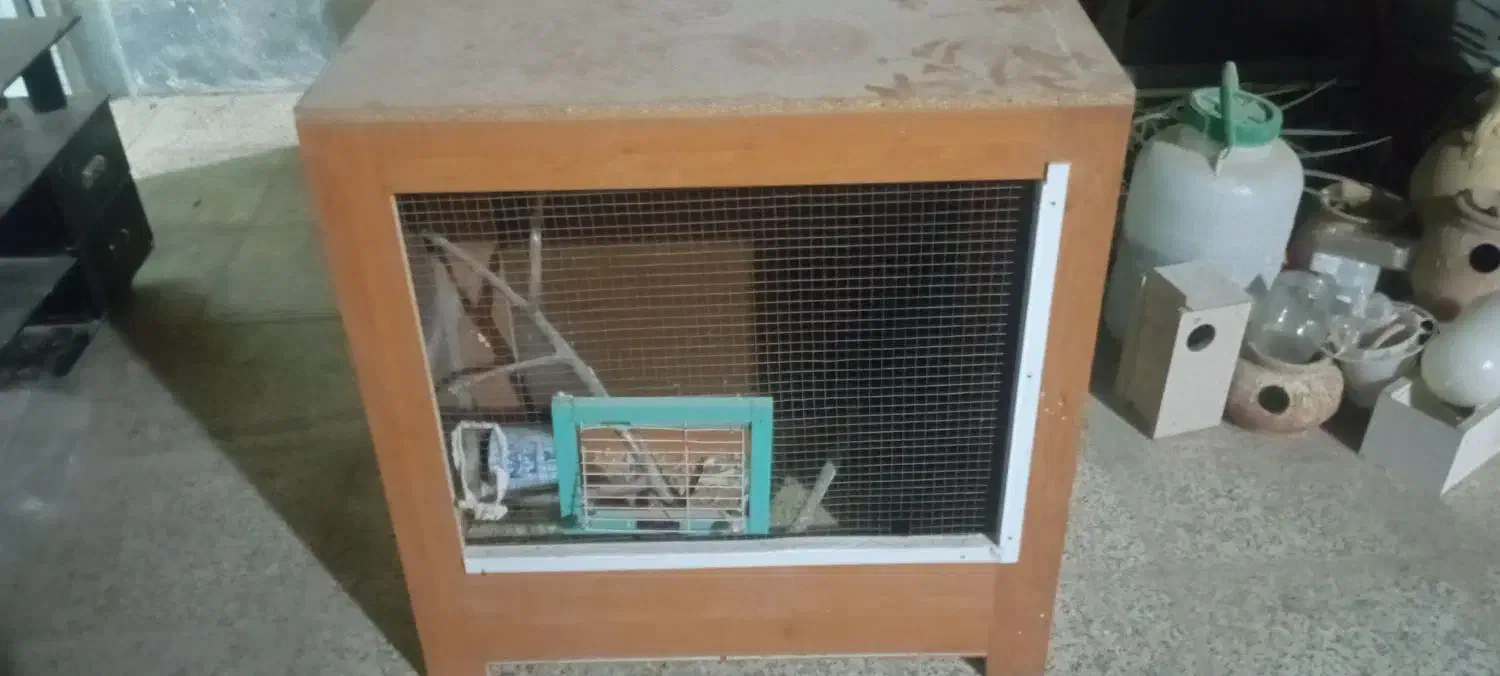 قفس پرندگان چوبی|لوازم جانبی حیوانات|طبس, |دیوار