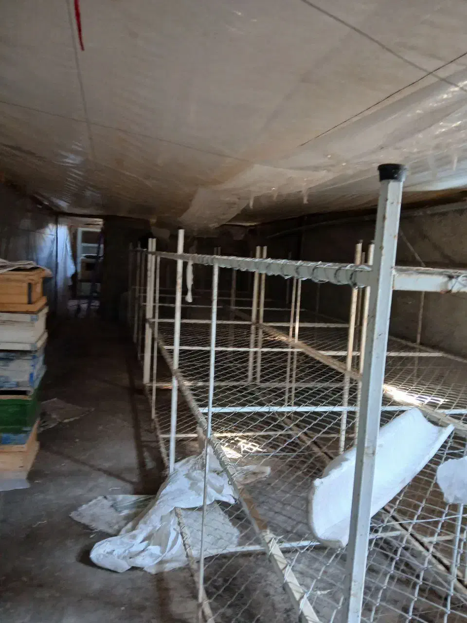 اجاره کارگاه (سوله)|اجارهٔ دفتر صنعتی، کشاورزی، تجاری|بناب, |دیوار