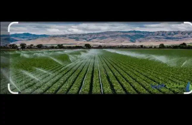 تیپ بارانی|ابزارآلات|نصر آباد, |دیوار