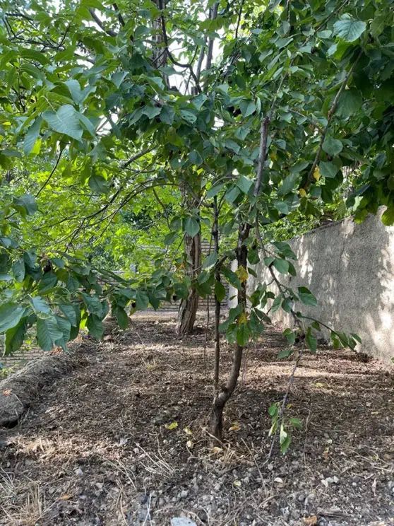 فروش زمین|فروش زمین و ملک کلنگی|لواسان, |دیوار