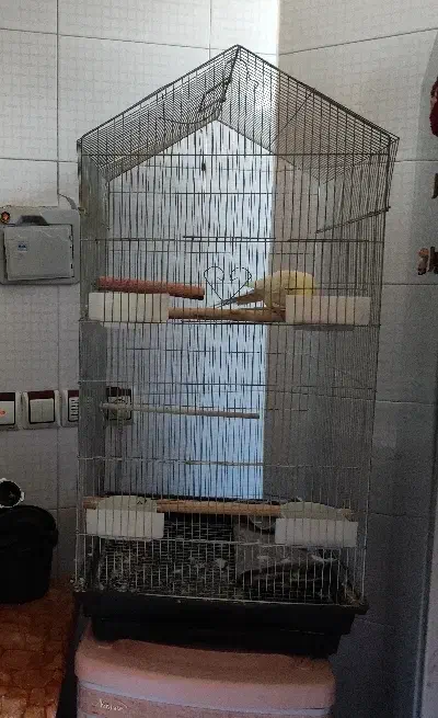 فروش قفسه|فروشگاه و مغازه|مهدی شهر, |دیوار