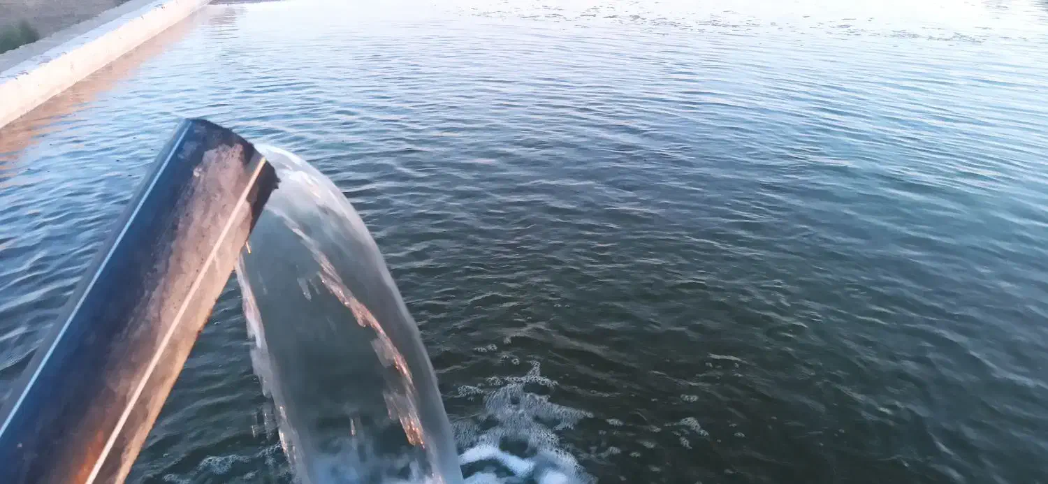 زمین کشاورزی.|فروش دفتر صنعتی، کشاورزی، تجاری|هریس, |دیوار