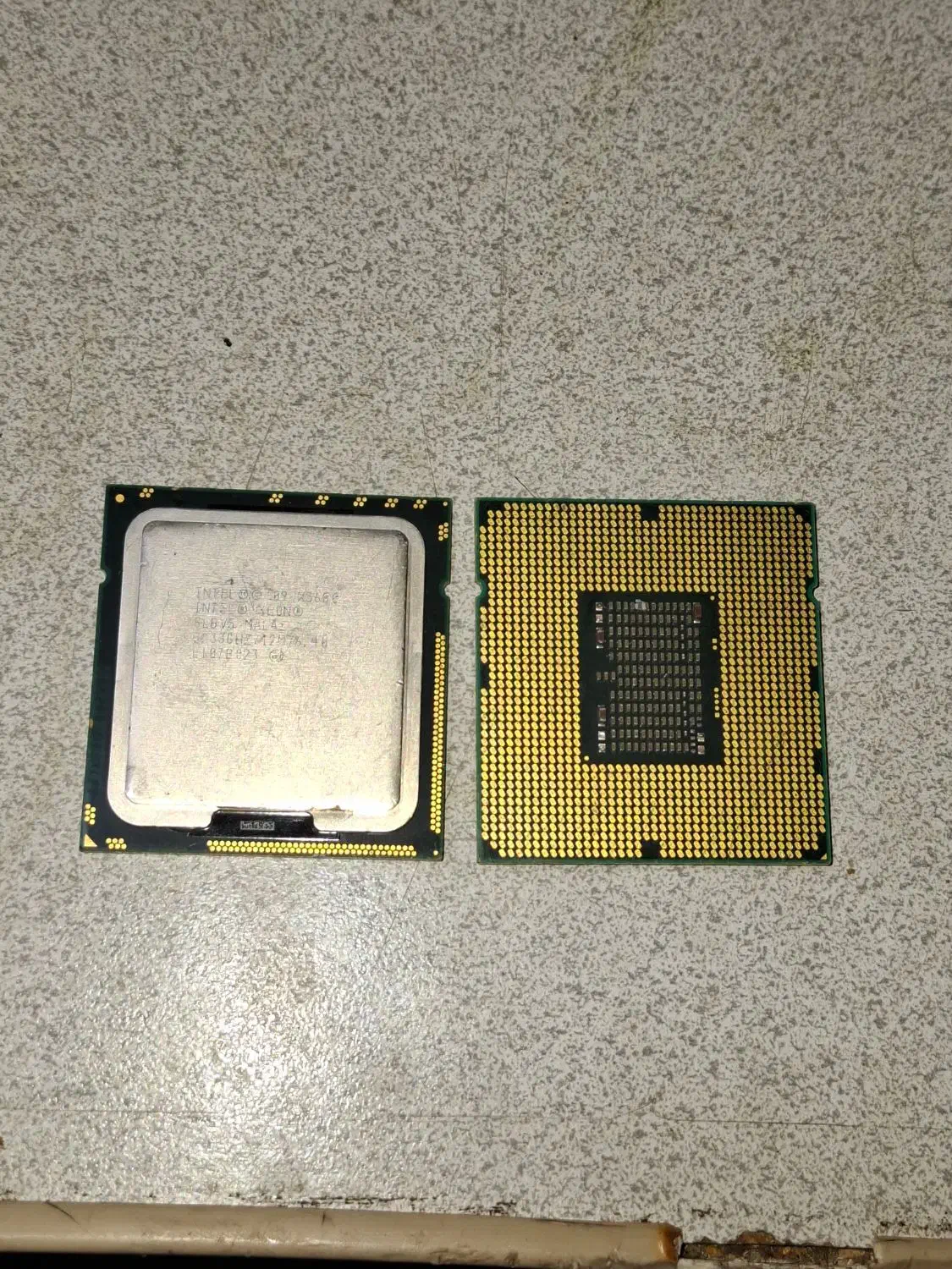 سی پی یو پشت مسی|قطعات و لوازم جانبی رایانه|ارومیه, |دیوار