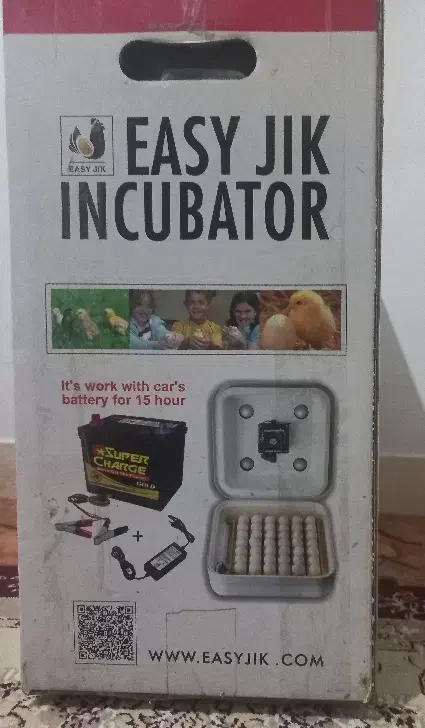 دستگاه جوجه کشی|لوازم جانبی حیوانات|هشتگرد, هشتگرد قدیم|دیوار