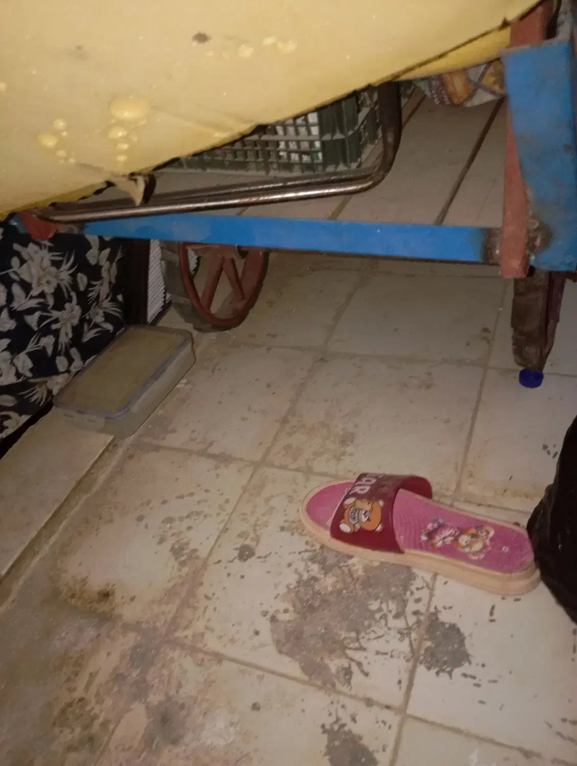 باکس موتور.گاری.میز کار استیل.و کباب پز رستورانی|کافیشاپ و رستوران|پرند, فاز ۶|دیوار