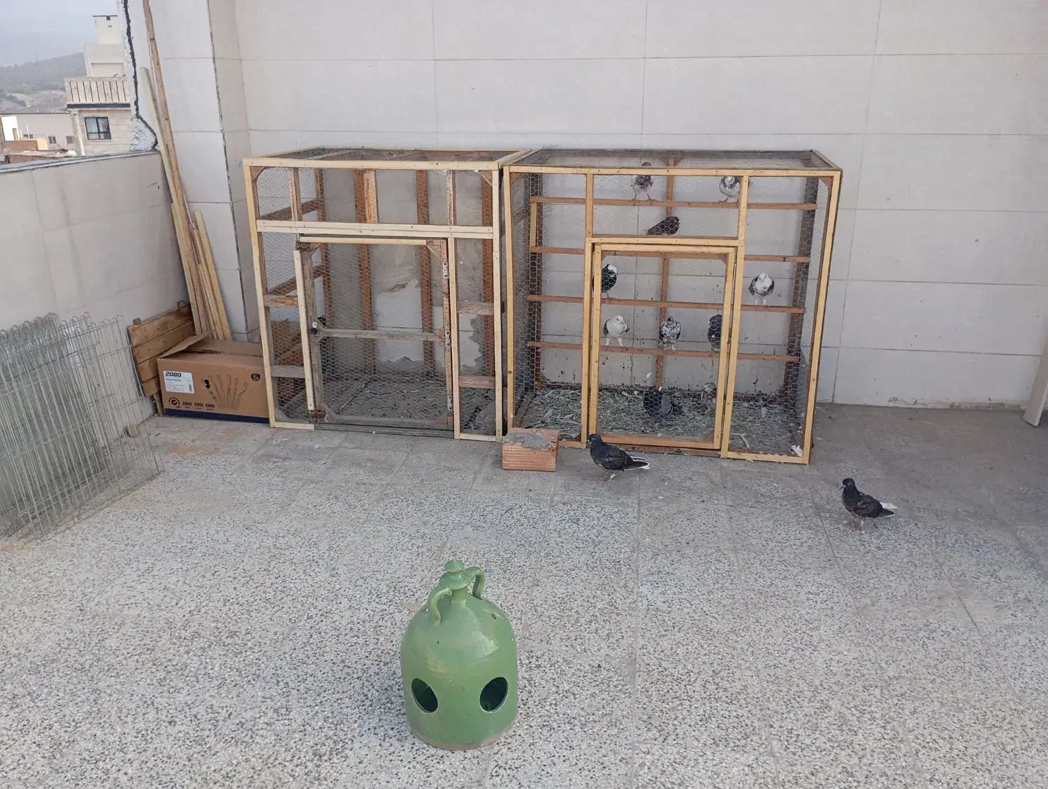 جفتگاه. یا تور پرنده. برای کبوتر. مرغ عشق. مرغ|لوازم جانبی حیوانات|گرگان, |دیوار