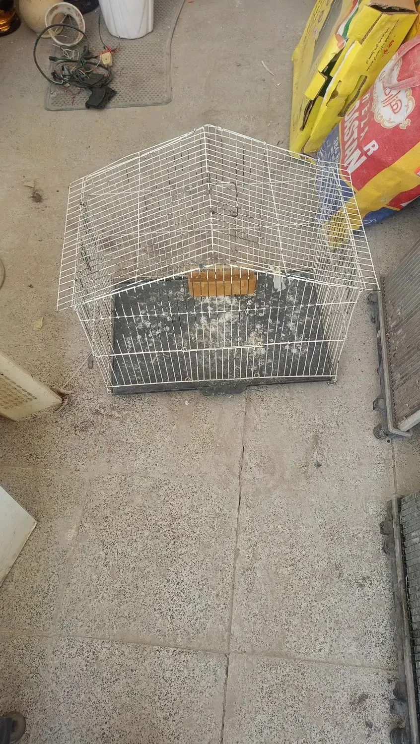 قفس پرنده|لوازم جانبی حیوانات|مشهد, شهید احمدی روشن|دیوار