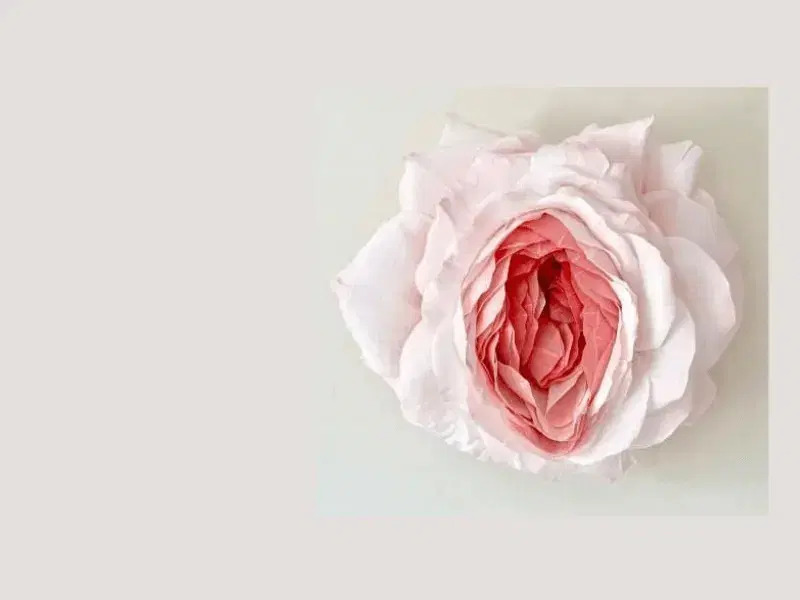 مدل رایگان فیلر بادی برای چهارشنبه|خدمات زیبایی و سلامت|تهران, درب دوم|دیوار